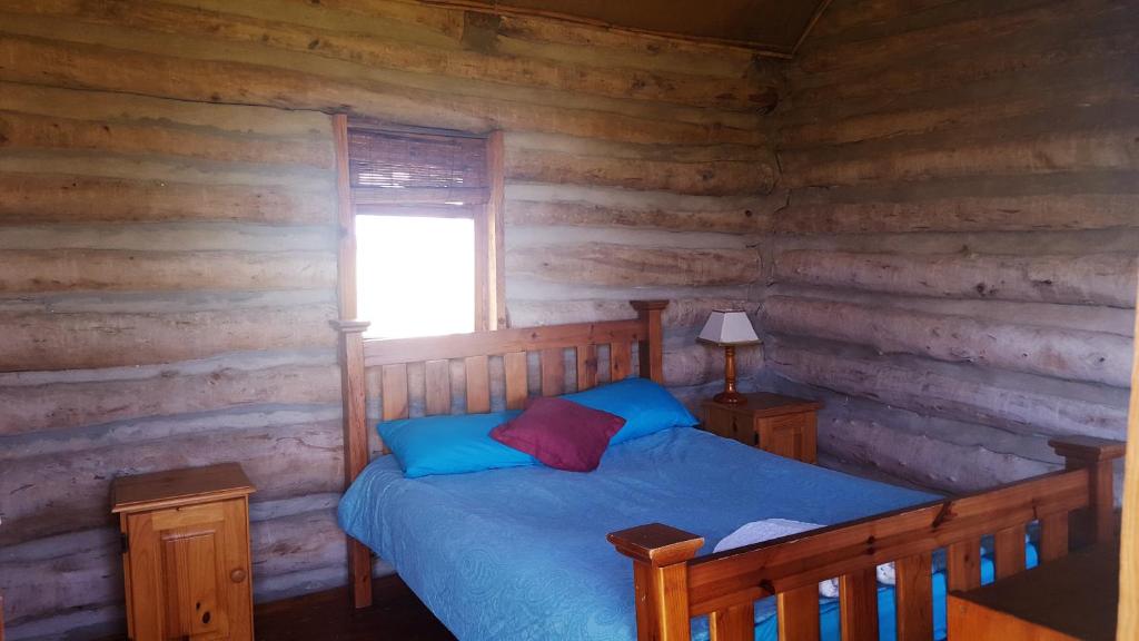 Bunk dorm for the backpacker crew