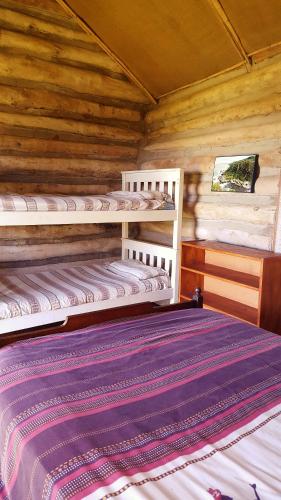 Family room with extra beds